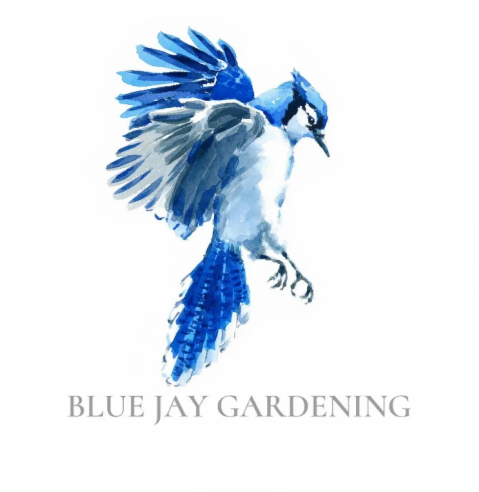 Blue Jay Gardening logo